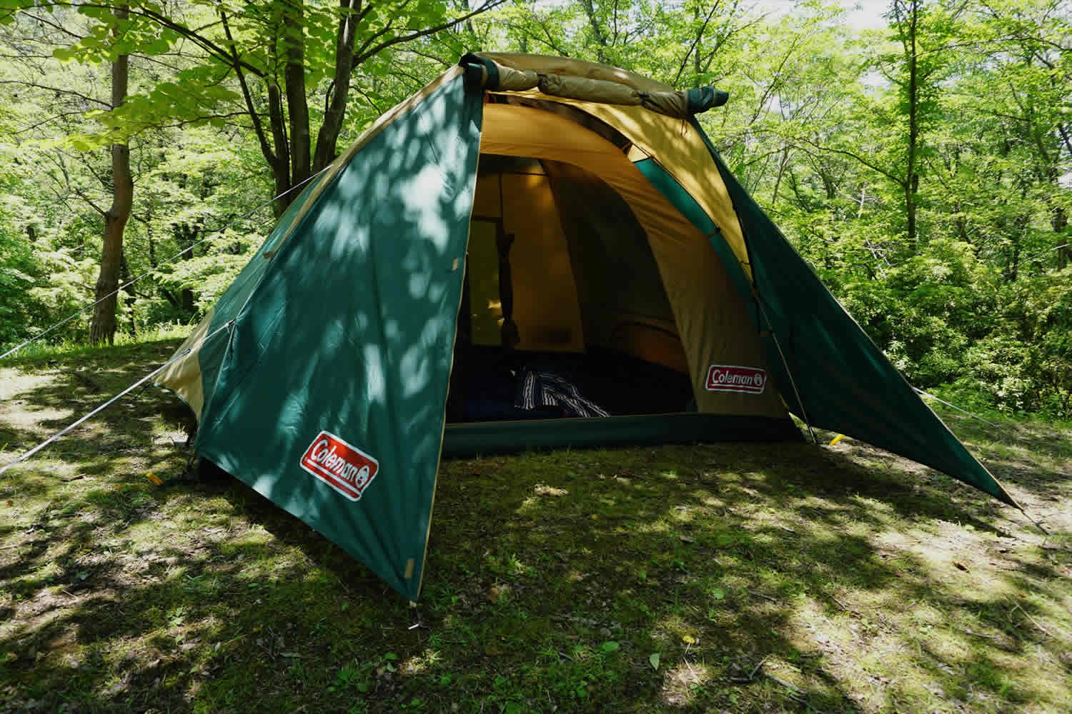 創作の森おびな Creative Forest Obina